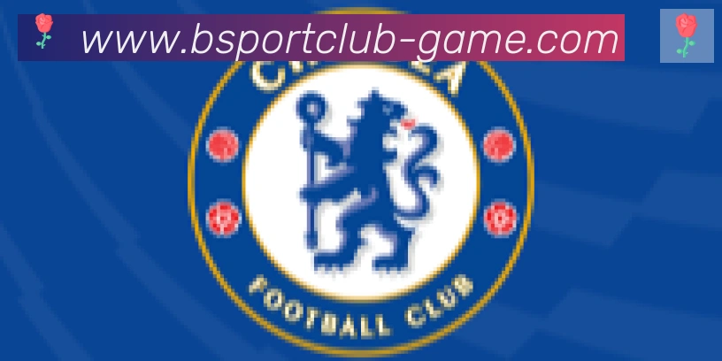 Bsports官网合作伙伴